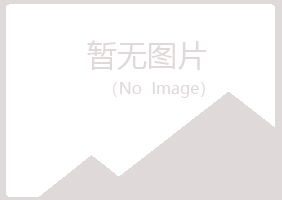 琼山区夜蓉能源有限公司